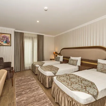 Hotel The Istanbul